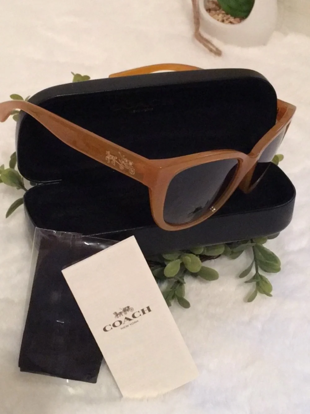 🐴Coach® Super Gorgeous Cat-Eye Sunglasses🐴